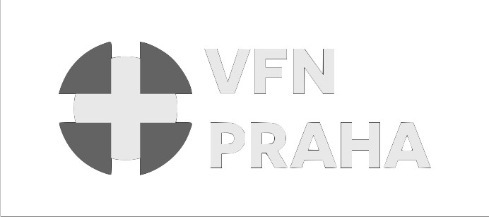 Reference Ústřední vojenská nemocnice (ÚVN) — Konzultace správy dokumentů od INADVISORS